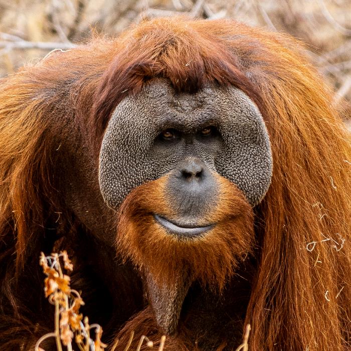 DÜNYANIN UNUTULMUŞ ADALARI